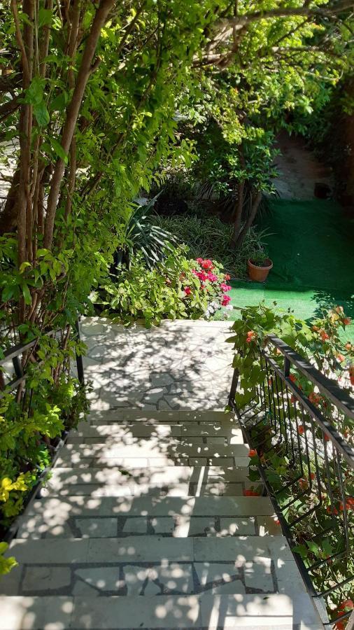 Guesthouse Mixe Μπούντβα Εξωτερικό φωτογραφία