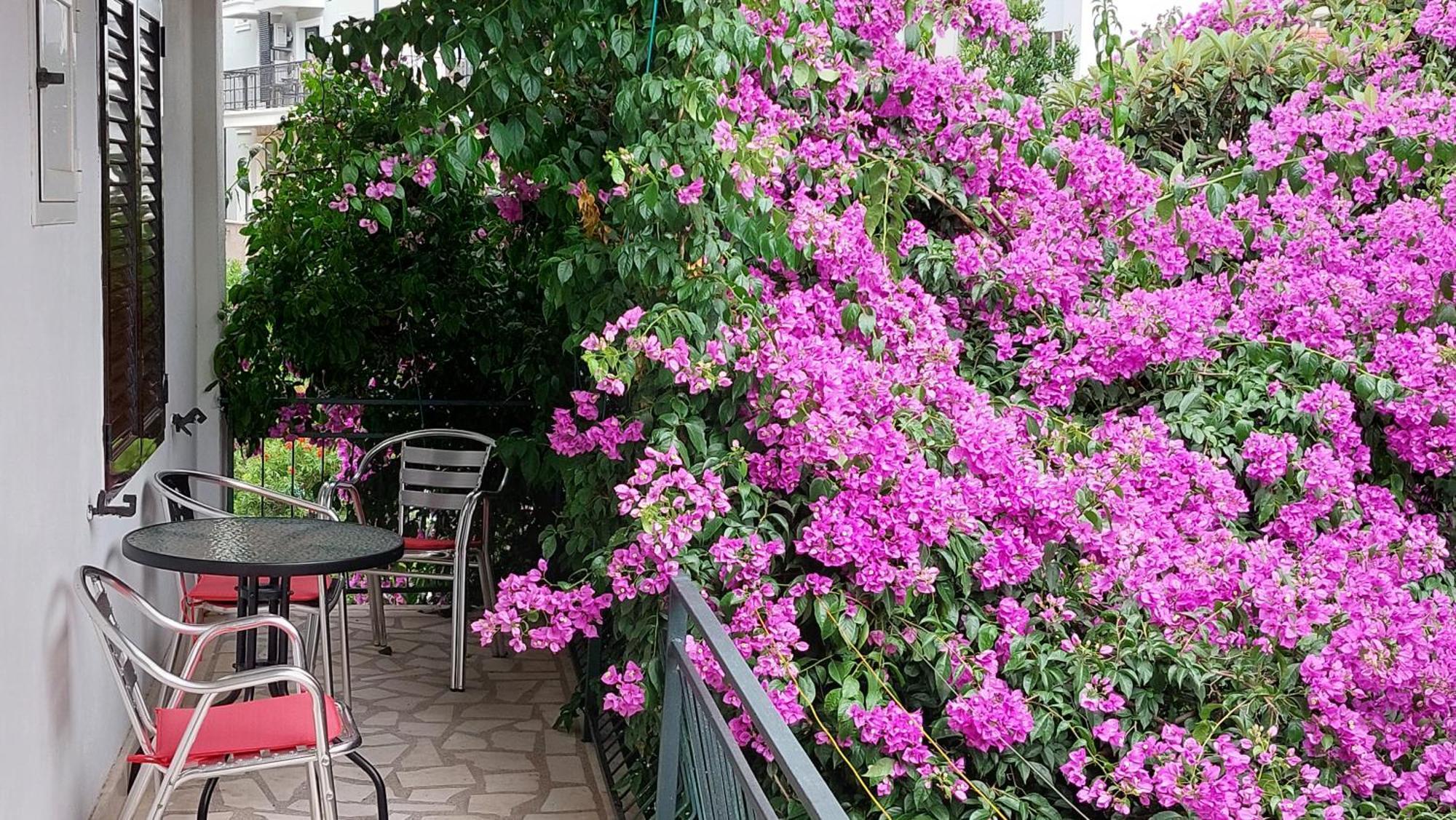 Guesthouse Mixe Μπούντβα Εξωτερικό φωτογραφία